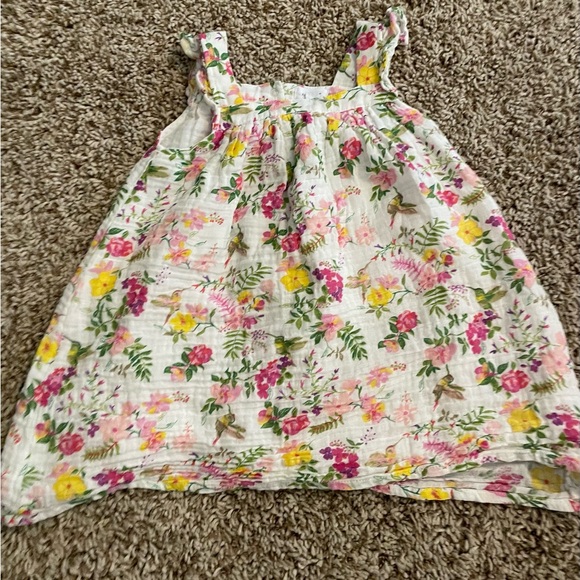 Angel Dear Other - Angel Dear Floral Dress with Hummingbirds 3T NWOT